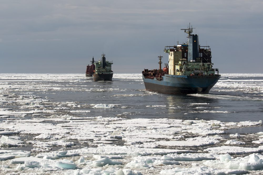MSC Reaffirms Arctic Shipping Ban as Chinese Lines Expand Northern Sea Route