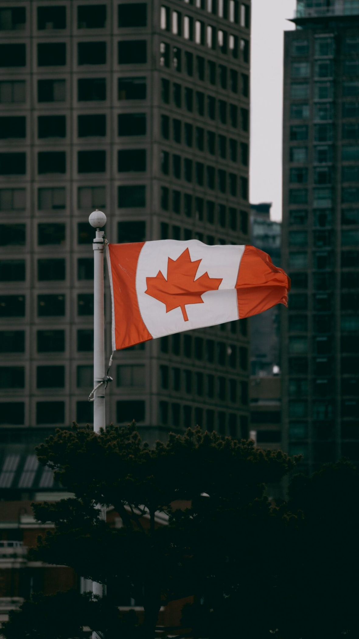 Canada áp thuế đối ứng lên nhiều mặt hàng của Mỹ