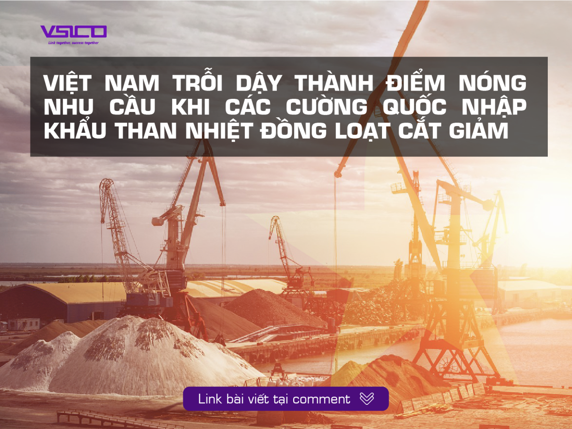 Việt Nam trỗi dậy thành điểm nóng nhu cầu khi các cường quốc nhập khẩu than nhiệt đồng loạt cắt giảm