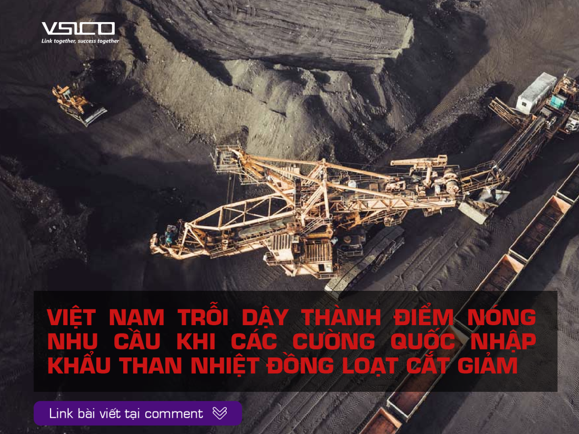 Vietnam emerges as key demand hub as top buyers cut back on thermal coal imports