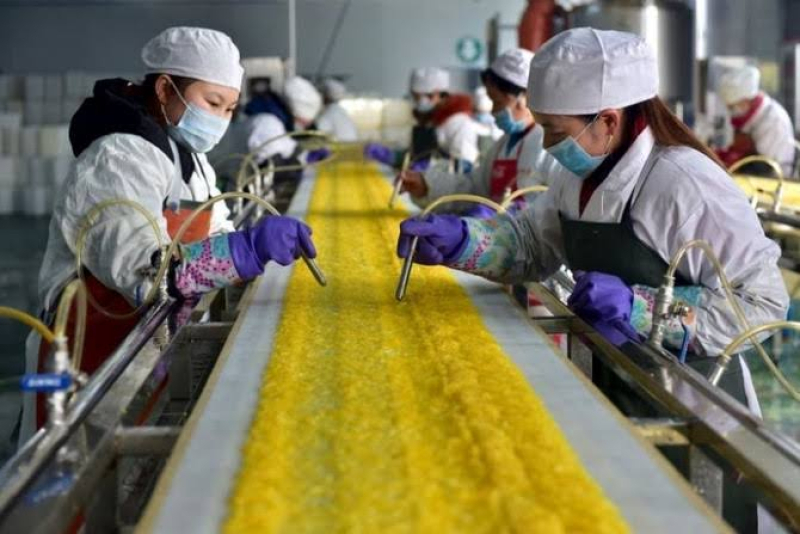ĐÀ PHỤC HỒI SẢN XUẤT TẠI CHÂU Á LAN RỘNG TRONG THÁNG 7, TRÁI NGƯỢC VỚI SUY GIẢM SẢN LƯỢNG CỦA TRUNG QUỐC