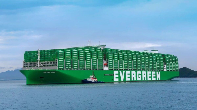 MEET THE 3 SHIPPING ALLIANCE TITANS