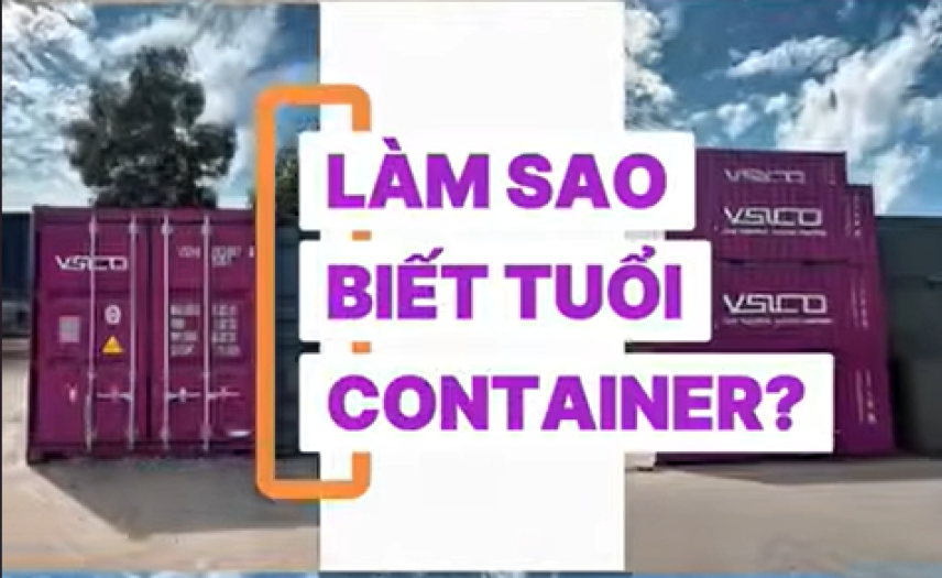 Làm sao để biết tuổi container?