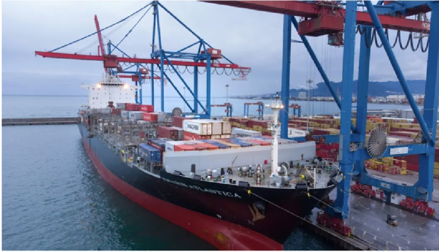 Triển vọng thị trường vận tải container nửa cuối năm 2026
