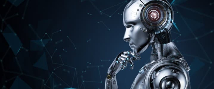 Sự trỗi dậy nhanh chóng của robot hình người